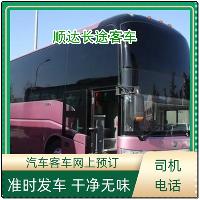 濮阳到海盐的长途客车直达汽车班次查询表（乘车路线+/2026发车时刻表+票价查询）