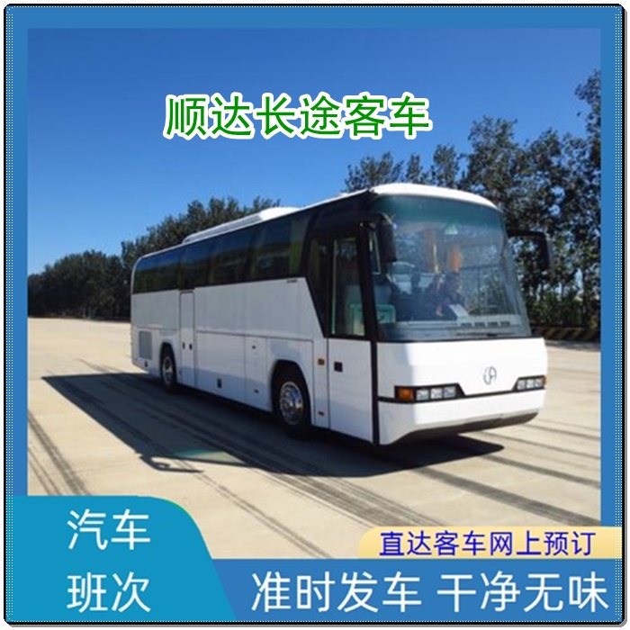 濮阳到茂名的长途客车客车/大巴车班次查询表（乘车路线+/2026发车时刻表+每天发车）