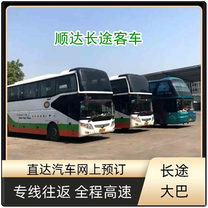 石家庄到惠来的长途客车大巴客车线路班次查询表（乘车路线+/2026发车时刻表+依赖服务）