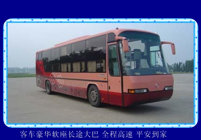 扬州到沈阳的长途客车客运专线2026（长途客车 宠物托运）