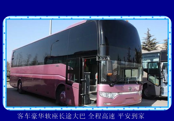 嘉兴到台州的长途客车随车电话是多少2026（全程高速 平安到家）