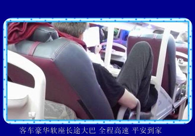 扬州到西双版纳的长途客车价格查询2026（准时准点 宠物托运）