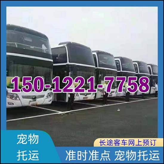 砚山到海宁的客运车班次查询表（乘车路线+票价/发车时刻表+时刻表）