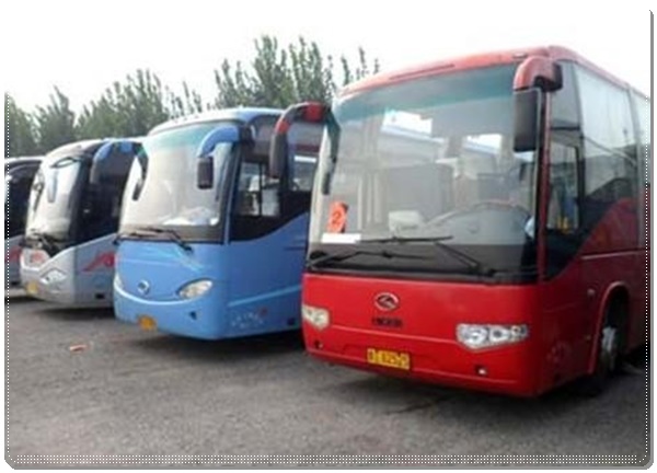 乳山到聊城长途客车班次查询表（时刻表+票价/乘车指南）2026随时咨询