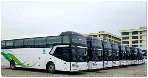 安丘到柳州长途客车班次查询表（咨询+票价/乘车指南）2026安全放心