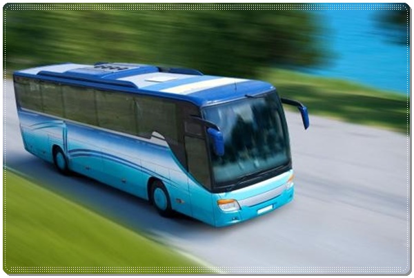 莱州到宜宾长途客车班次查询表（咨询+票价/乘车指南）2026礼让三先