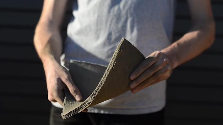 辽宁抚顺三维网厂家-今日价格 欢迎选购<2026价格一览>