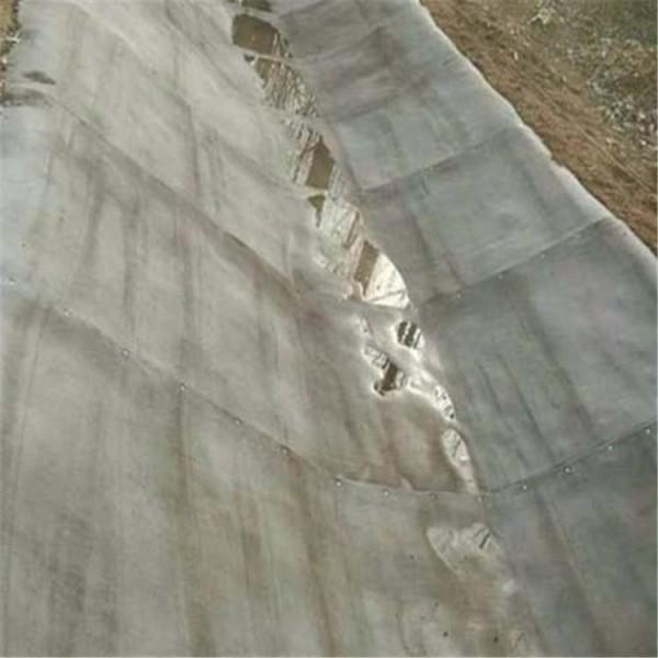 湖北十堰塑料土工格室厂家三维植被网<2026价格一览>