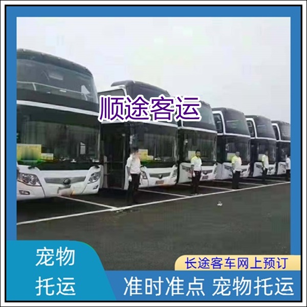 泰兴到莆田长途汽车班次查询表（票价+票价/乘车指南）2026承接 团体乘车包车