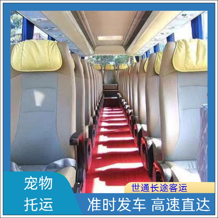 启东到宁陵的长途客车汽车大巴车班次查询表（乘车路线+票价/2026发车时刻表+宠物托运 货物运输）