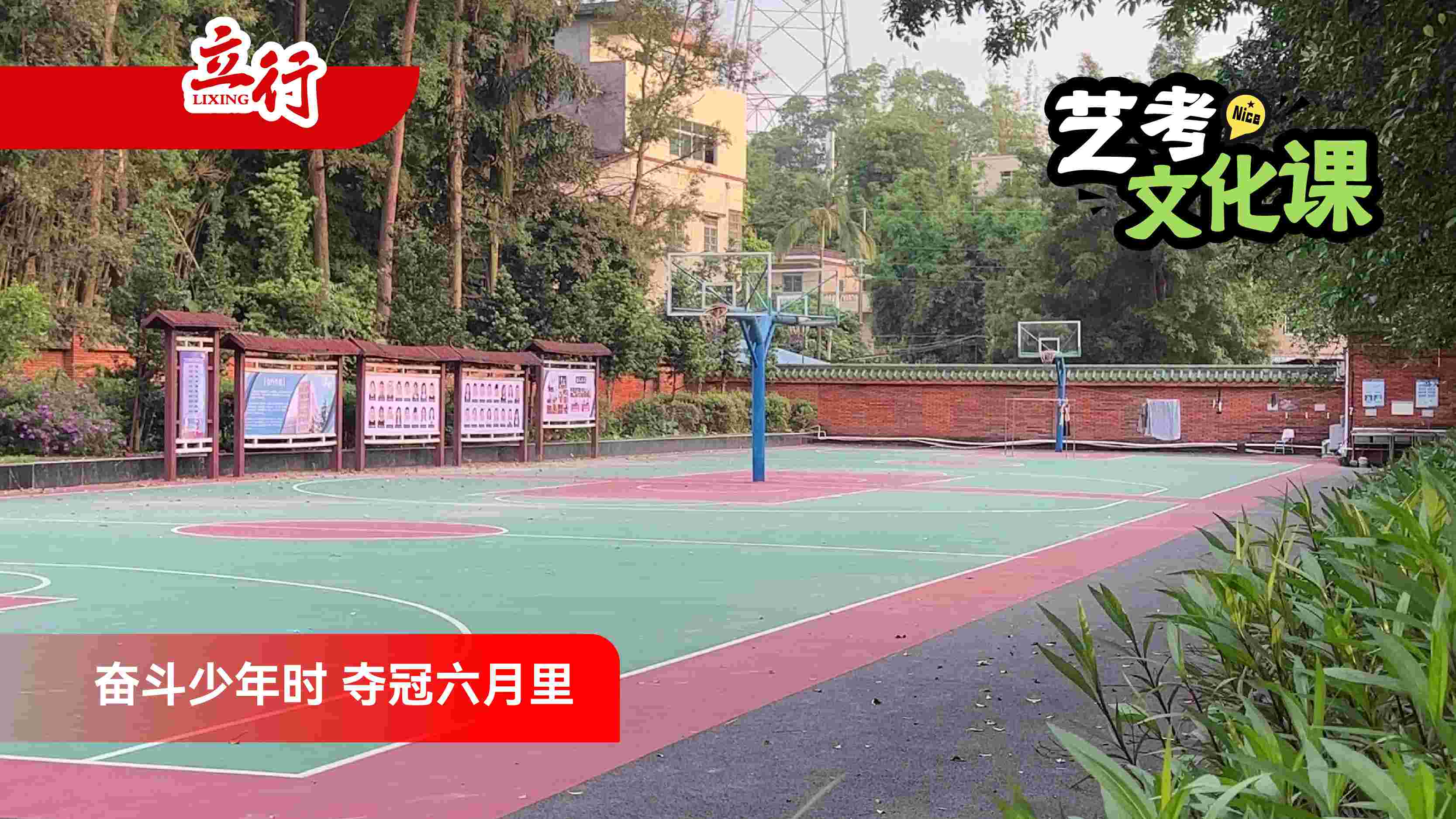 2026云浮艺术生文化课培训靠谱吗+2026怎么选艺术生文化课培训一览