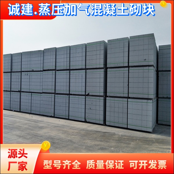 桓台泰安加气块厂品牌