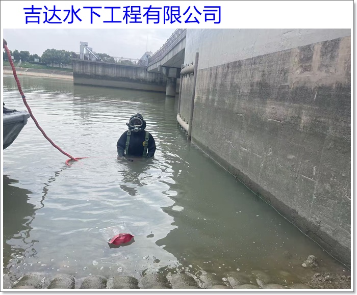 北海市蛙人服务公司2026「多年打捞」