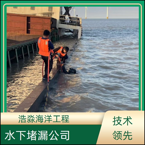 宜春市水下封堵漏-2026一站式服务