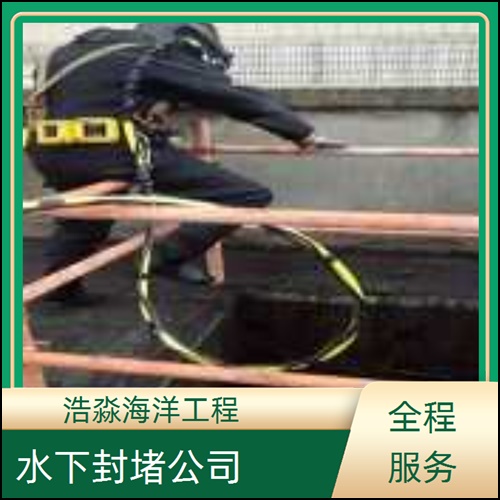 乌兰察布市水下打捞队-2026解决客户水下难题