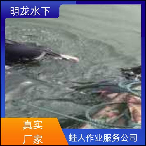 四平市蛙人服务公司2026<潜水员服务>