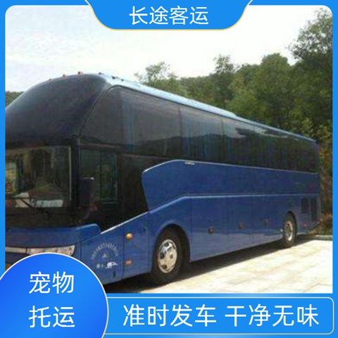 太原至许昌的客车大巴车客车乘车地址（豪华软座 长途大巴）