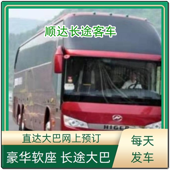 新降到金湖的长途客车汽车客车线路班次查询表（乘车路线+/2026发车时刻表+安全舒适）