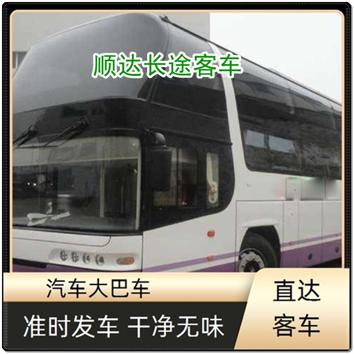 石家庄到惠州的长途客车大巴客车线路班次查询表（乘车路线+/2026发车时刻表+依赖服务）