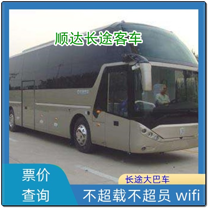 石家庄到恩平的长途客车客车/大巴车班次查询表（乘车路线+/2026发车时刻表+直达客车）