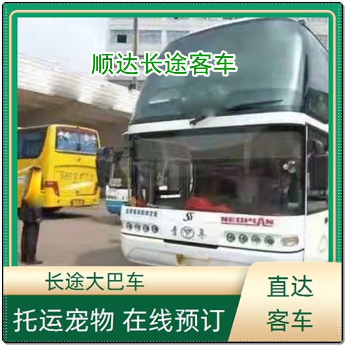 濮阳到平湖的长途客车长途汽车班次查询表（乘车路线+/2026发车时刻表+安全放心）