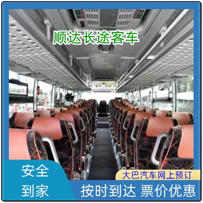 石家庄到丰县的长途客车大巴客车班次查询表（乘车路线+/2026发车时刻表+宠物托运）