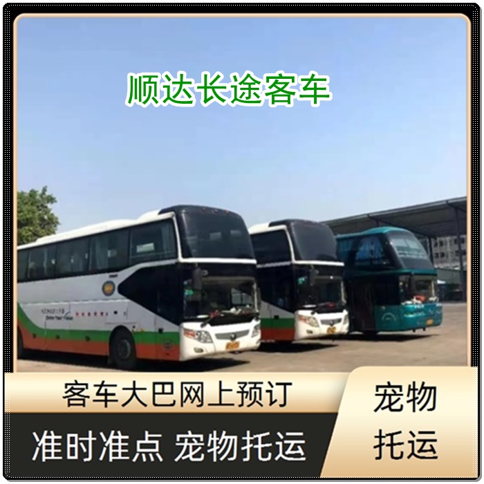 三门峡到慈溪的长途客车长途汽车班次查询表（乘车路线+/2026发车时刻表+乘坐班次）