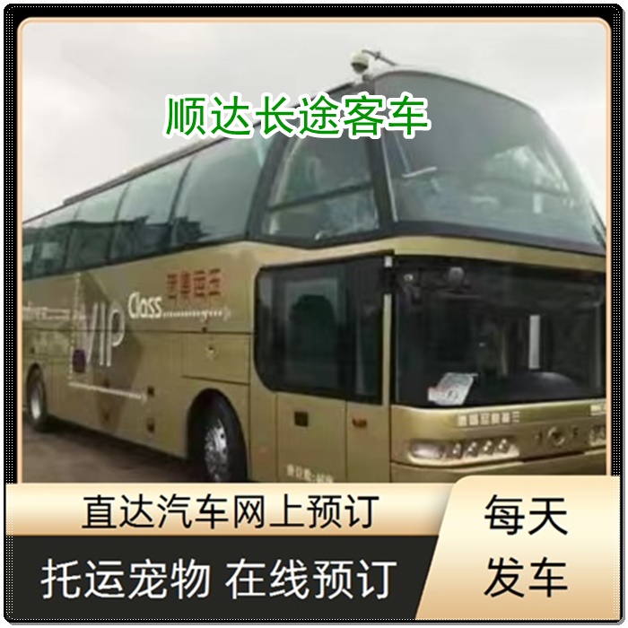 漯河到泉港的长途客车汽车卧铺大巴班次查询表（乘车路线+/2026发车时刻表+经验丰富）