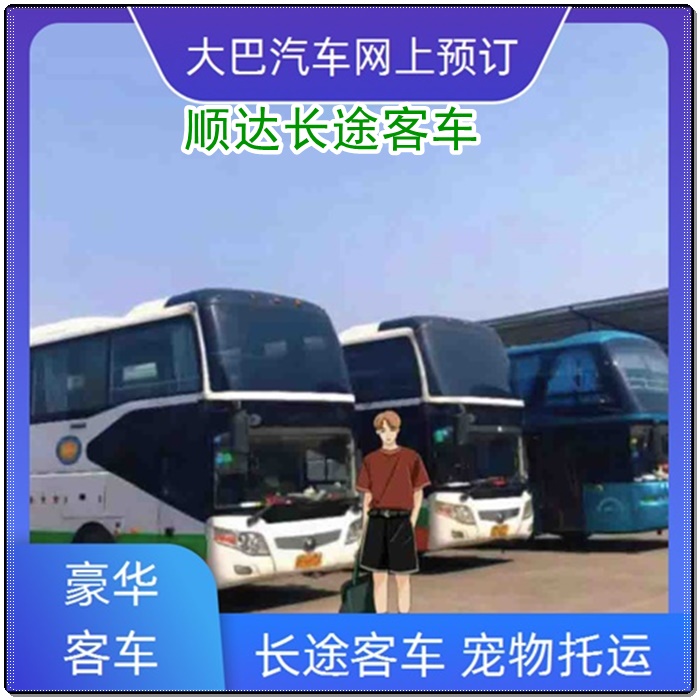 闻喜到泗阳的长途客车长途客车班次查询表（乘车路线+/2026发车时刻表+诚信经营）