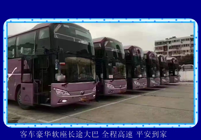 嘉兴到广州的长途客车发车时间2026（安全放心 依赖服务）