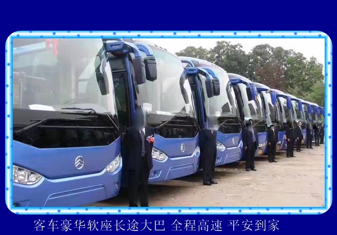 镇江到湛江的长途客车班次查询2026（长途客车 宠物托运）