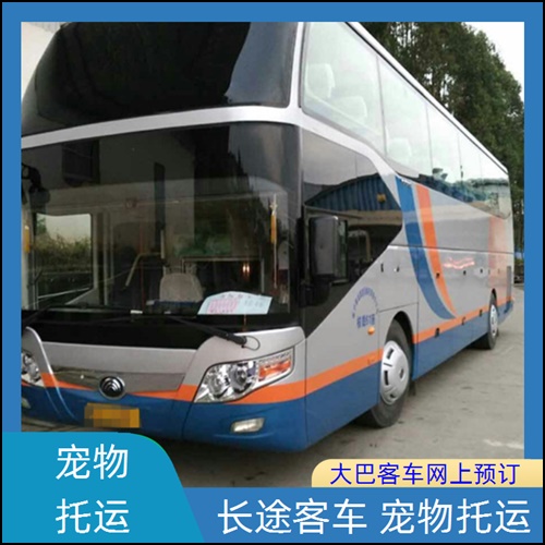 哈尔滨到温岭长途客车班次查询表（长途大巴+票价/乘车指南）2026礼让三先