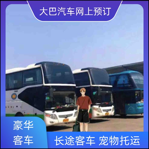 延吉到平度长途客车班次查询表（客车大巴+票价/乘车指南）2026安全到家