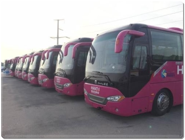 文登到邢台长途客车班次查询表（至+票价/乘车指南）2026乘坐班次