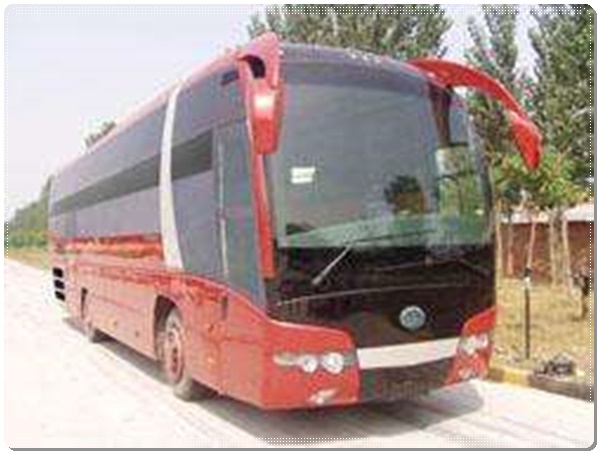 海阳到大洼长途客车班次查询表（去+票价/乘车指南）2026宠物托运