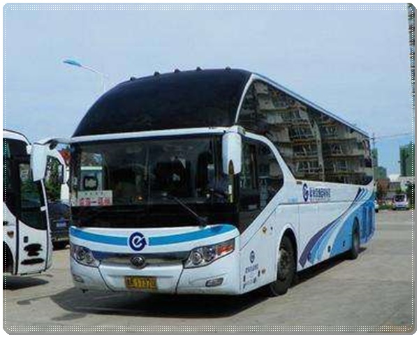 寿光到洛阳长途客车班次查询表（汽车客车+票价/乘车指南）2026依赖服务