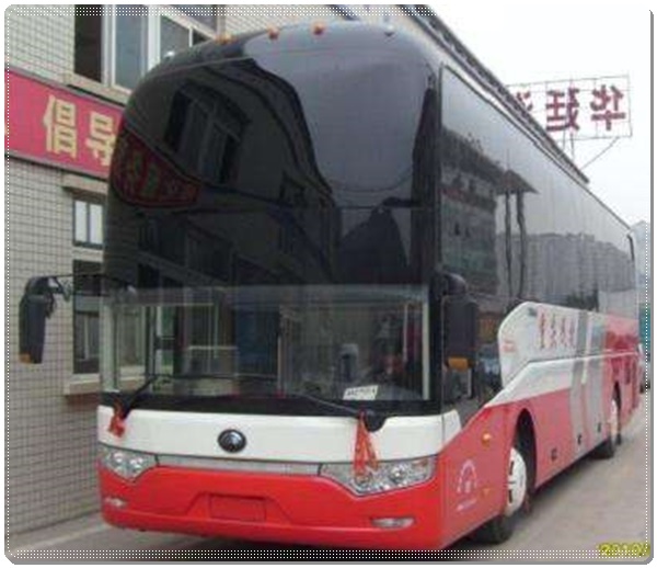 石岛到威县长途客车班次查询表（汽车大巴车+票价/乘车指南）2026经验丰富