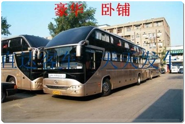 日照到河间长途客车班次查询表（长途汽车+票价/乘车指南）2026安全放心