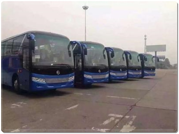 胶南到大石桥长途客车班次查询表（长途客车+票价/乘车指南）2026每天发车