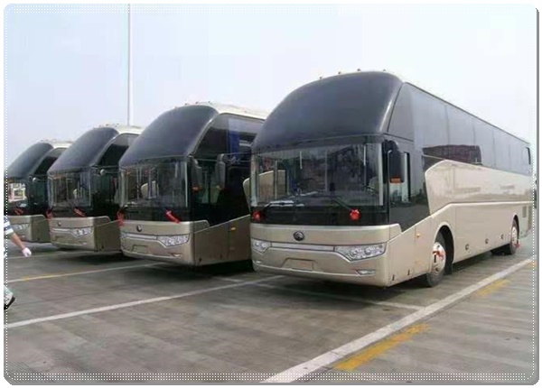 青州到巨鹿长途客车班次查询表（长途汽车+票价/乘车指南）2026汽车班次