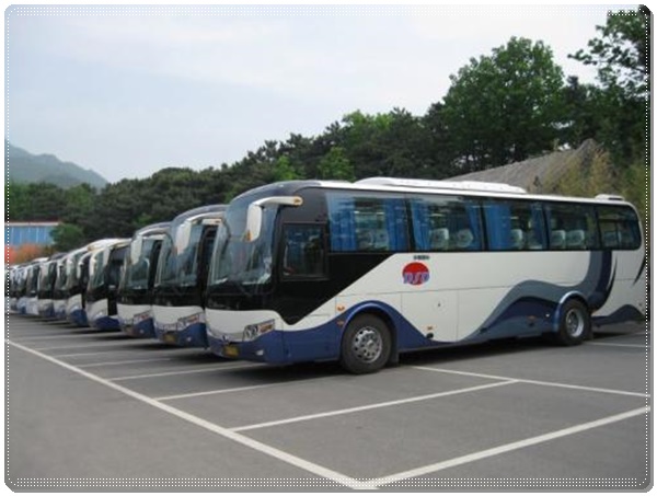 文登到鱼台长途客车班次查询表（查询表+票价/乘车指南）2026汽车班次