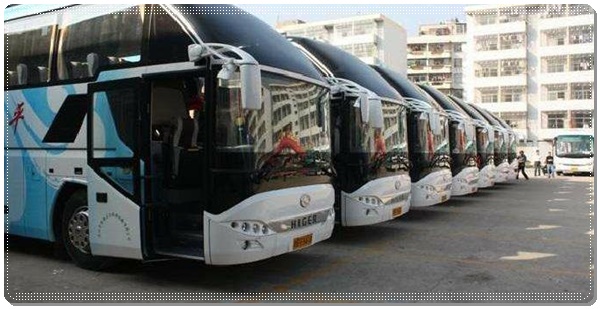 莱西到泸州长途客车班次查询表（豪华大巴+票价/乘车指南）2026诚信经营