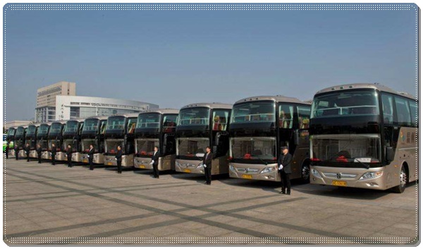 胶南到哈尔滨长途客车班次查询表（电话+票价/乘车指南）2026豪华客车