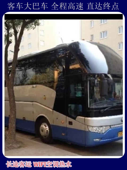 青岛到郑州汽车站随时咨询长途汽车+宠物托运天天多班次发车