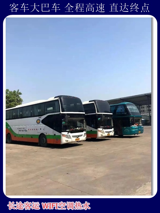 青岛到南乐汽车票价咨询随时咨询长途汽车+宠物托运天天多班次发车