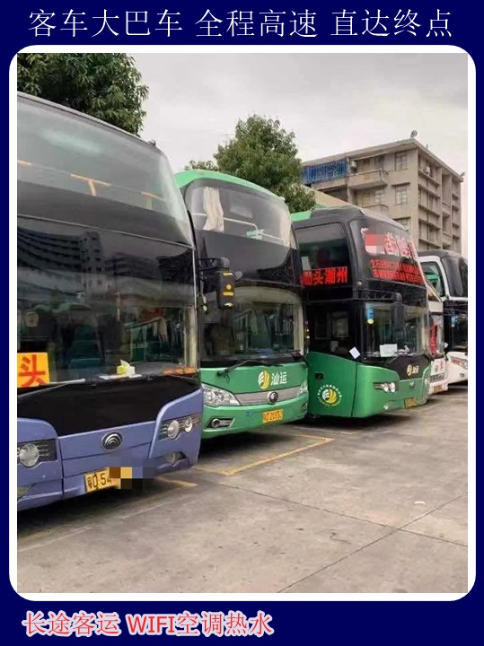 青岛到鹤壁汽车站汽车班次乘坐班次+宠物托运天天多班次发车