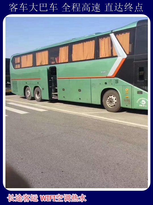 青岛到驻马店汽车站发车时间票价查询天天发车+宠物托运天天多班次发车