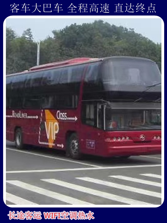 青岛到四通镇汽车站发车时间票价查询天天发车+宠物托运天天多班次发车