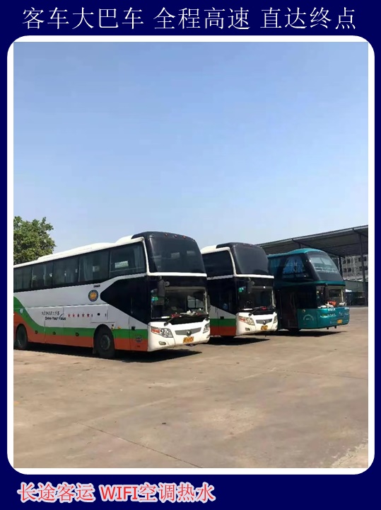 威海到安阳大巴车随时咨询长途汽车+宠物托运天天多班次发车