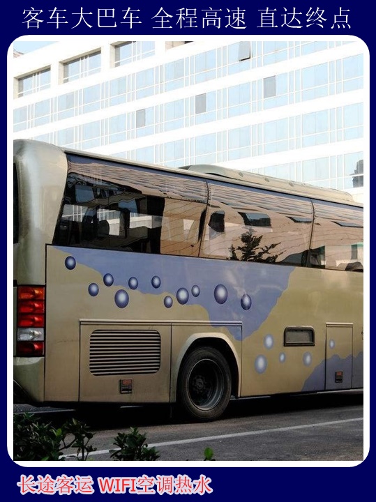 青岛到邯郸汽车站随时咨询长途汽车+宠物托运天天多班次发车